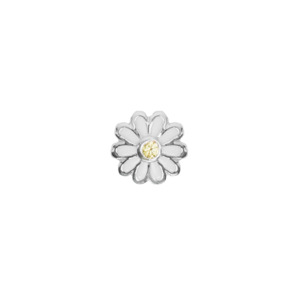 Flowers: Daisy