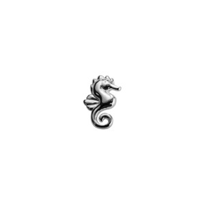 Seahorse - Enchanted
