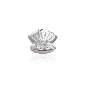Top 10 Collections: Scallop - Inner Beauty
