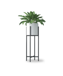 Plant with Stand