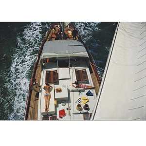 Arts: Deck Dwellers Unframed Print PRE ORDER