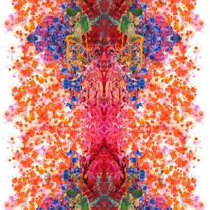 Upholstery Fabrics: Omni Splatt Orange Fabric