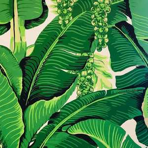 Outdoor Fabric: Braziliance Outdoor Fabric