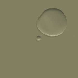 Olive 2.5L Wall Paint