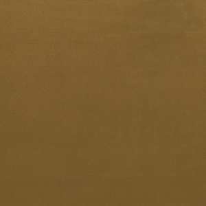 Warwick Fabrics: Second Duke Gold Velvet Fabric
