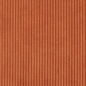 Rioma: Darven 34 Corduroy Fabric