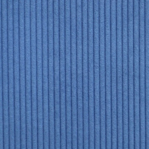 Darven 14 Corduroy Fabric