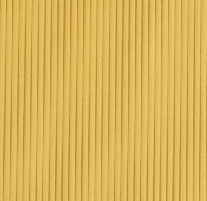 Rioma: Darven 15 Corduroy Fabric