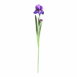 Faux Flowers Foliage: Faux Van Gogh Iris Flower