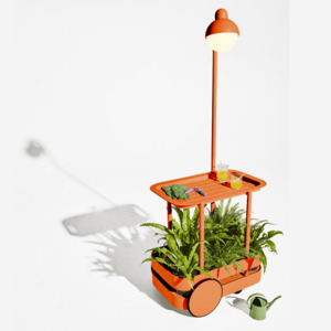 Trolleys: Tangerine Jolly Trolley