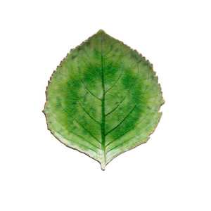Gifts Under 100: Riviera Leaf Plate 22cm Green