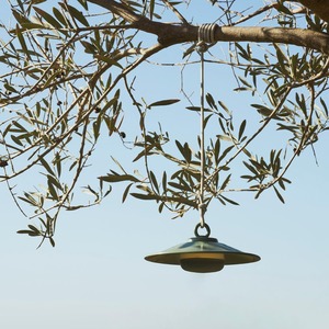 Gifts Under 201: Chap-O Green Lamp