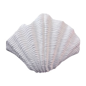 New Arrivals: Pacific Shell Wall Sconce