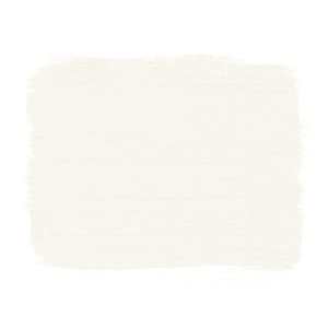 Pure 120ml Chalk Paint