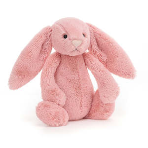 Bunnies: Jellycat | Bashful Bunny - Petal Small