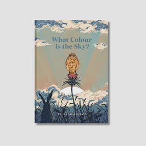 Books: What Colour Is The Sky? | Laura Shallcrass