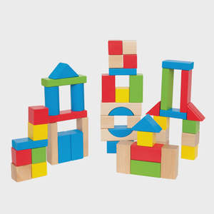 Maple Blocks 50pc | Hape