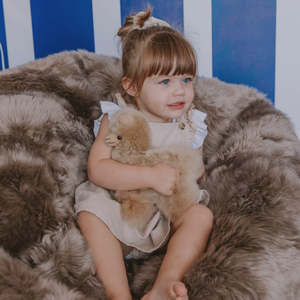 Kids Toys: Baby Alpaca Plushie