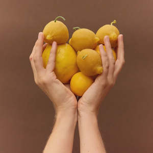 Candles Incense Diffusers: Poppy + Sage | Lemon Beeswax Candle