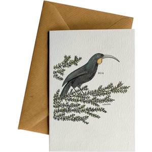 Huia MaÃÑnuka #WS-167