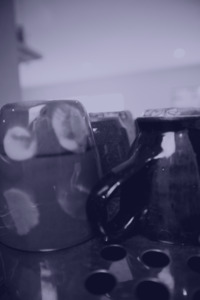 Cup Tasting - Little Drum Coffee