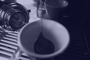 Products: One-on-One Espresso Barista Training - Little Drum Coffee
