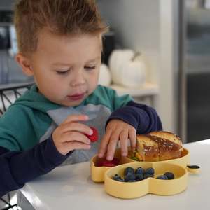 New: Melii Silicone Divided Suction Plate