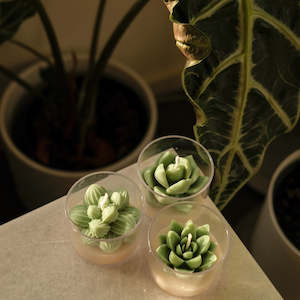 New Mums: Green Succulent tea light candle (Sweet pea + Vanilla)