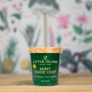 Ice Cream: Mint Choc Chip 450ML Ice Cream