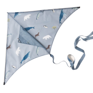 Play: Arctic Kite
