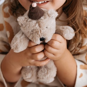 Soft Toys: Wilma Bear