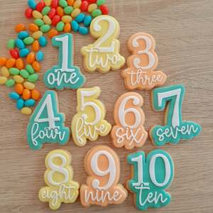 Full Set 1-10 Raised Acrylic Fondant Stamp & Cookie Cutter