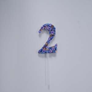 The Foliage Space Flower Cake Topper - Two