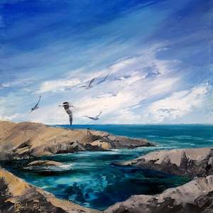 Janie Porter: Rock Pools