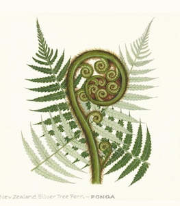 Natural History - Tree Fern Print
