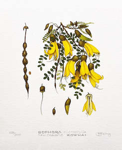 Jo Ewing: Natural History - Kowhai Print