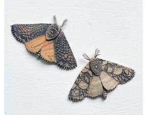 Jenny Wilson: Moth