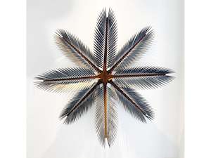 Jane Downes: Nikau Medallion