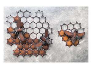 Honeycomb & small bees