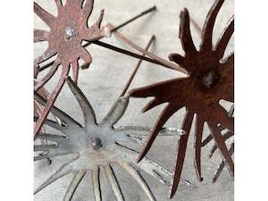 Dandelion Floret