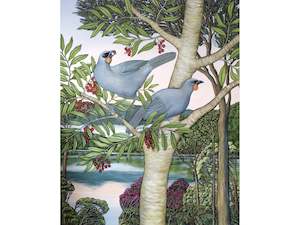 Clare Reilly: Kōkako feasting in the Upper Harbour