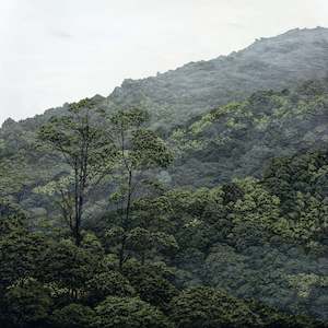 Sara Langdon: Evergreen III