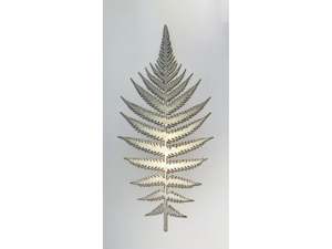 Fern
