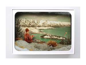 Emily Thomas: Kiwi Diorama Winter
