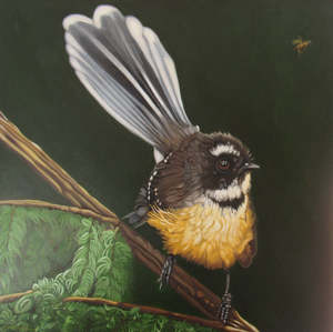 Fantail - father tail