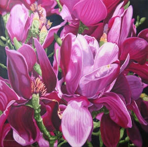 Magnolia