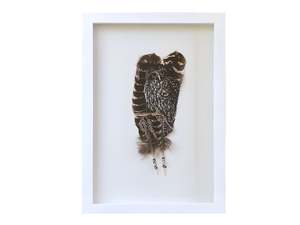 Beth Mcgill: Morepork / Ruru