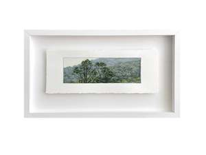 Sara Langdon: Evergreen Study