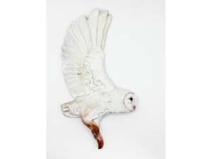 Owl - single wing flight