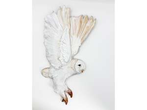 Owl double wing ascent